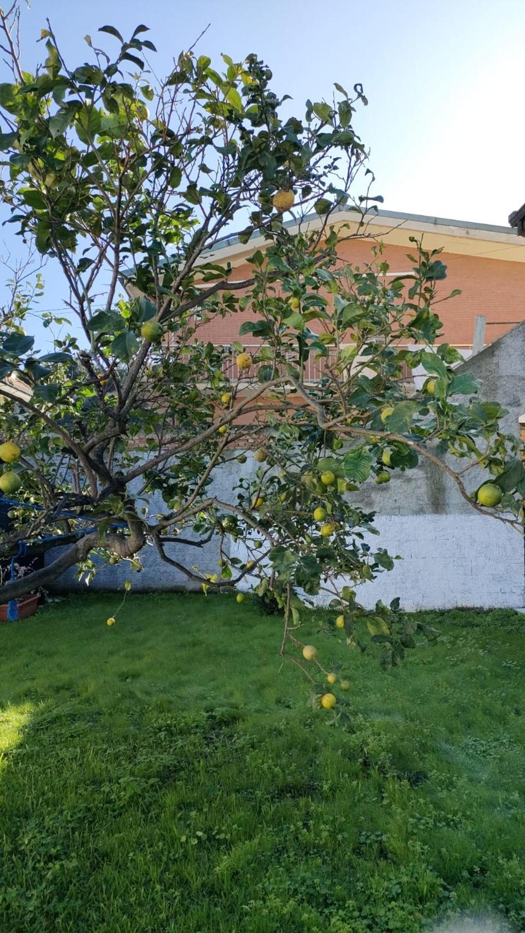 Ndiscialamu Casa Vacanze Palmi Kültér fotó